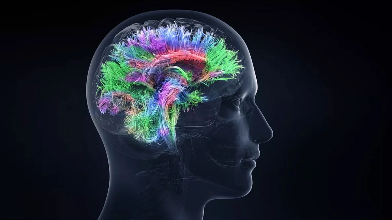 Meningiom MR Bulguları